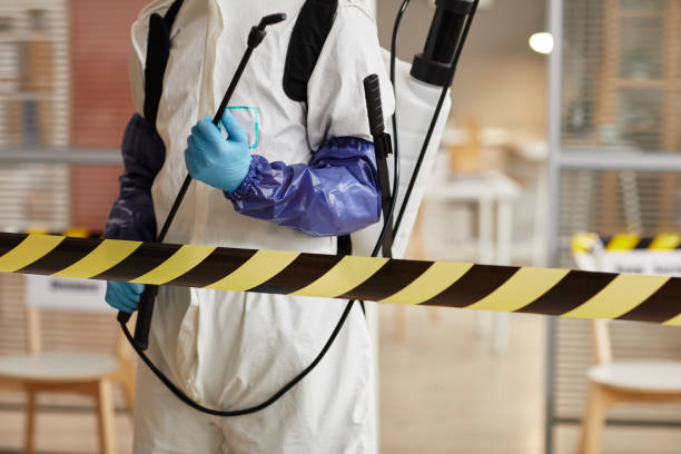 Professional Hoarding Cleanup technician working in Franklin Park, NJ